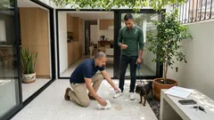 Errores comunes que hacen que tu perro se haga pipí en casa y cómo corregirlos