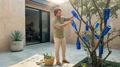 El misterio del árbol de botellas azules: la tradición que buscaba proteger el hogar (y cómo recrearla hoy)